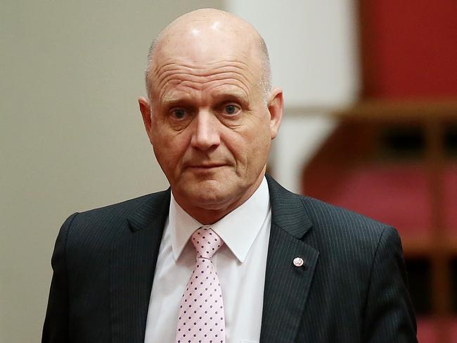 Senator David Leyonhjelm in the Senate Chamber at Parliament House in Canberra. Picture Kym Smith