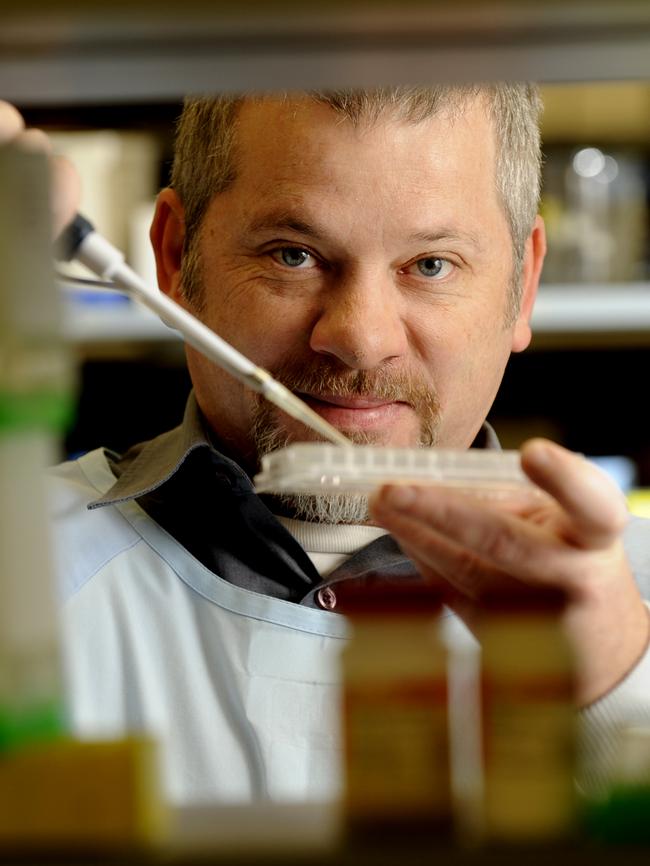 Professor Hamish Scott at SA Pathology. He is one of the scientists backing the petition.