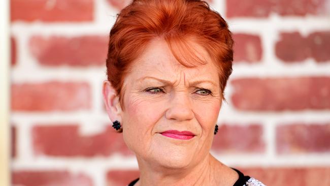 Pauline Hanson in Townsville to endorse her One Nation Candidate for Thuringowa, Troy Thompson. Picture: Alix Sweeney