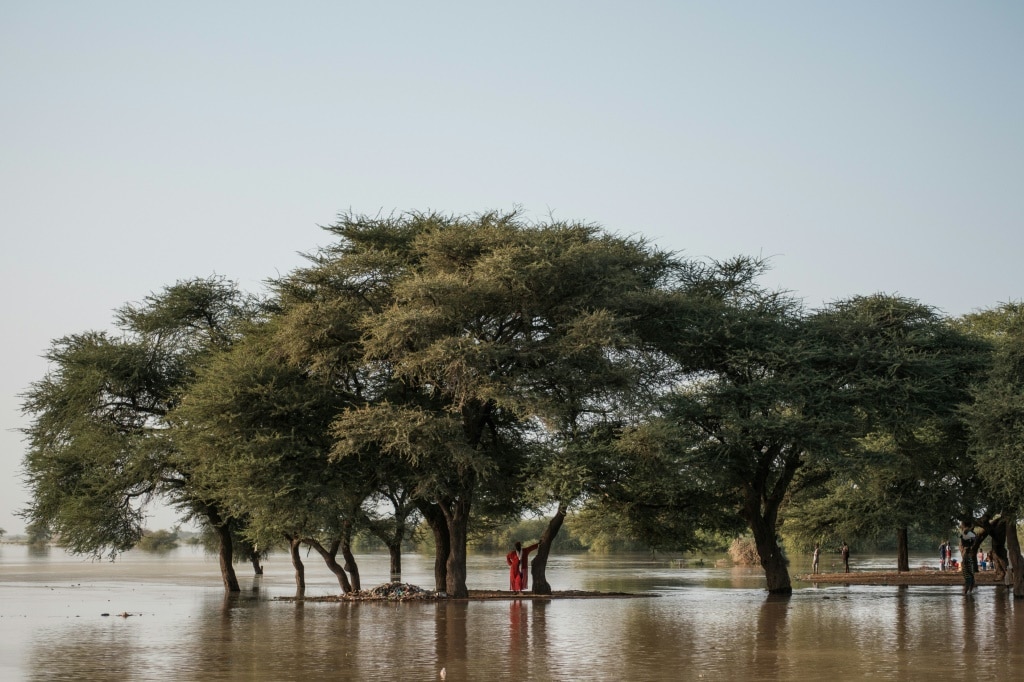 Climate change-worsened floods wreak havoc in Africa