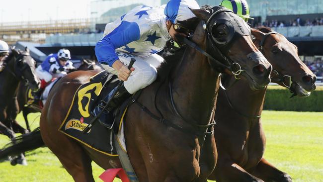 Sir Charles Road wins the Chairman's Quality during The Championships at Royal Randwick.