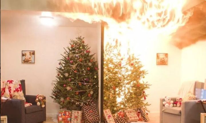 Christmas Tree Fire Hazard: Video Shows How Fast Unwatered Trees Catch Fire | Kidspot