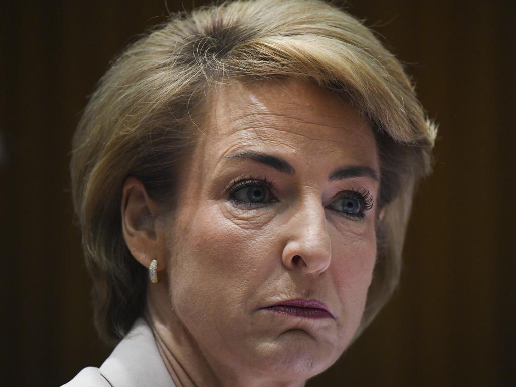 ] Employment Minister Michaelia Cash says a record number of Australians are now in work and the unemployment rate has fallen. For now. Picture: AAP