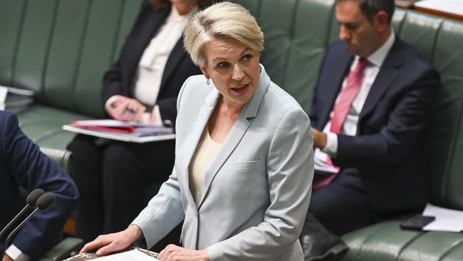 Tanya Plibersek called for an end to the politicking of who knew what and when. Picture: NCA NewsWire / Martin Ollman