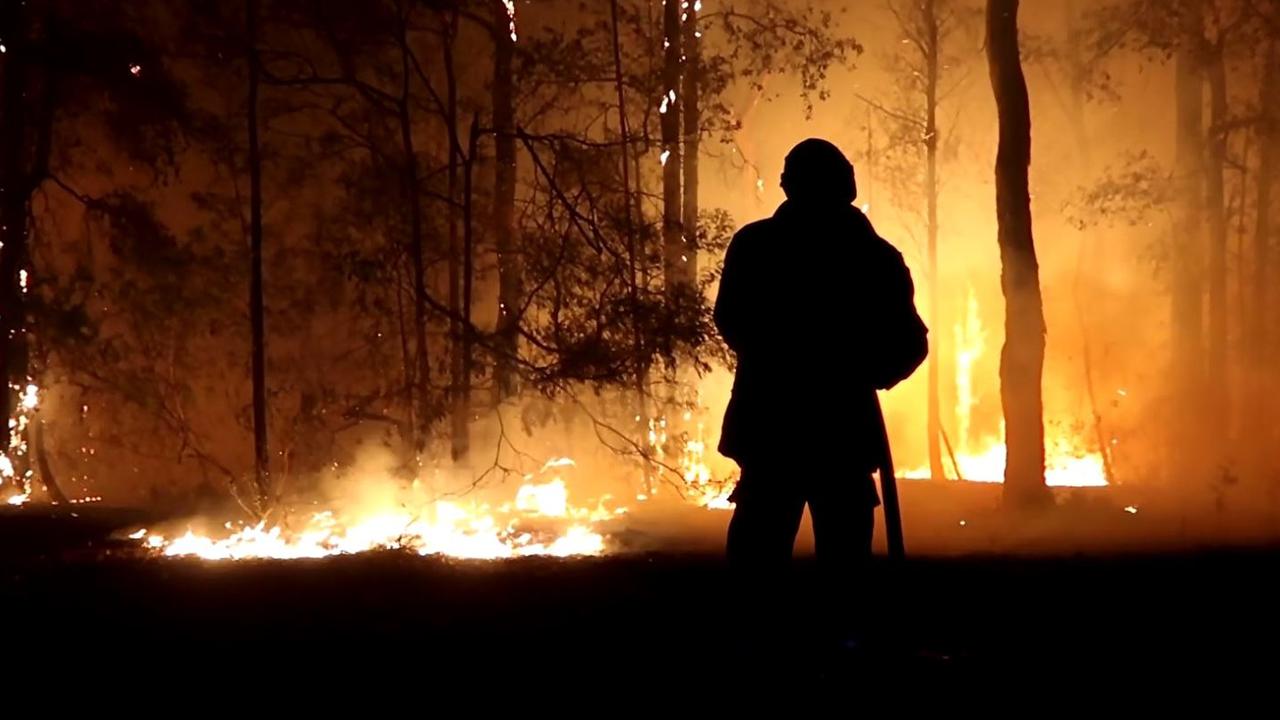 Teresa O’Sullivan releases findings into NSW Black Summer bushfires ...