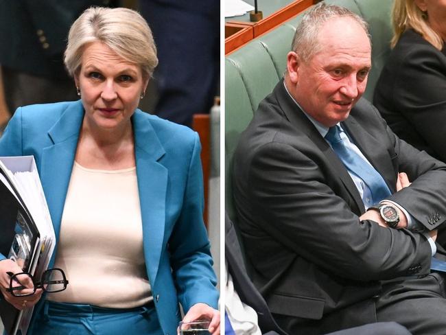 Plibersek Joyce anti-Semitism