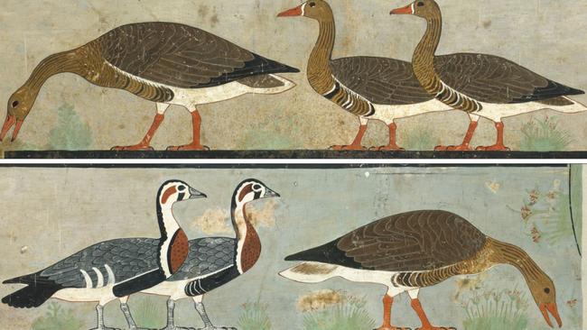 'Meidum Geese', Chapel of Itet, mastaba of Nefermaat and Itet (Dynasty 4), Medium, Egypt (Credit C.K. Wilkinson).