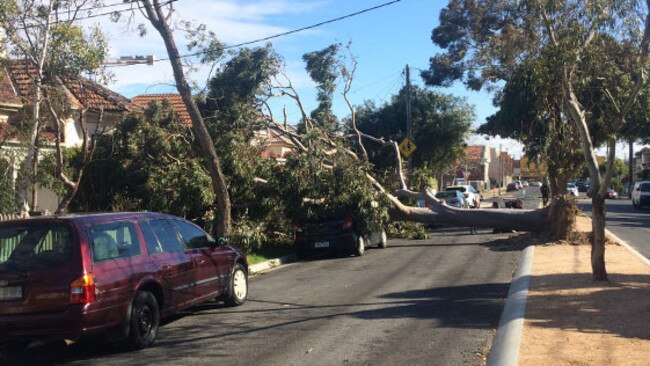 Melbourne weather: wind damage, bad weather on the way | news.com.au ...