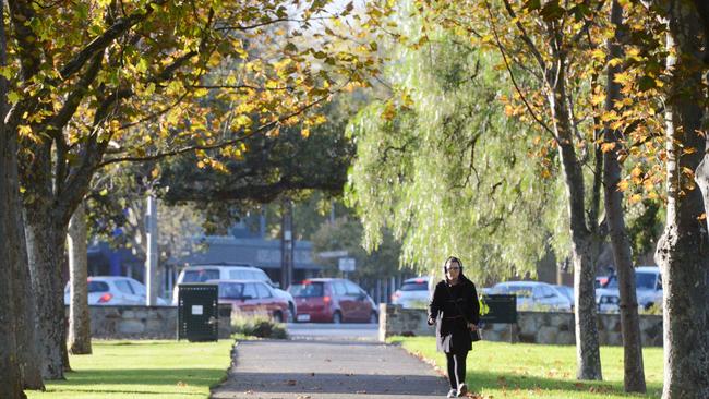 Rymill Park has been earmarked as the preferred location for an inclusive city playground to honour Quentin Kenihan.