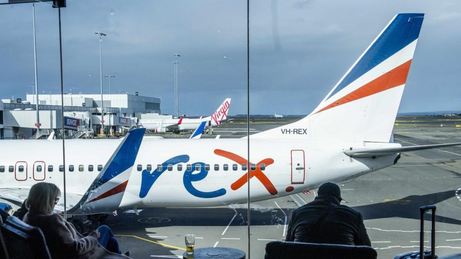 Regional airlines criticise Albanese government's potential purchase of Rex