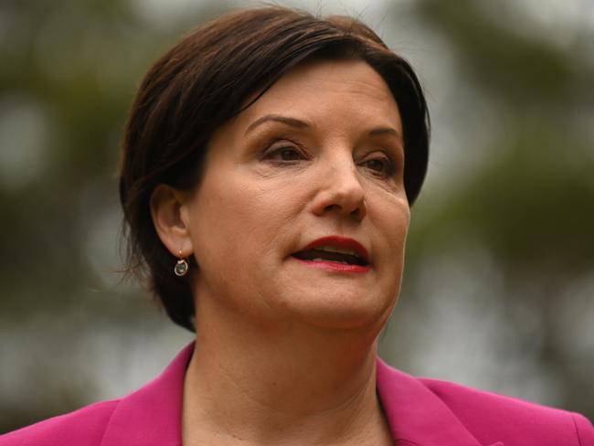 NSW Labor Leader Jodi McKay says it’s time NSW held a royal commission into mental health after rising suicide rates. Picture: Steven Saphore