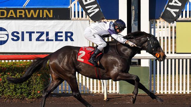 The Sheila Arnold trained Lake's Folly won at Fannie Bay with jockey Mark Pegus onboard. Picture: Caroline Camilleri