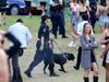 Shocking truth behind sniffer dogs