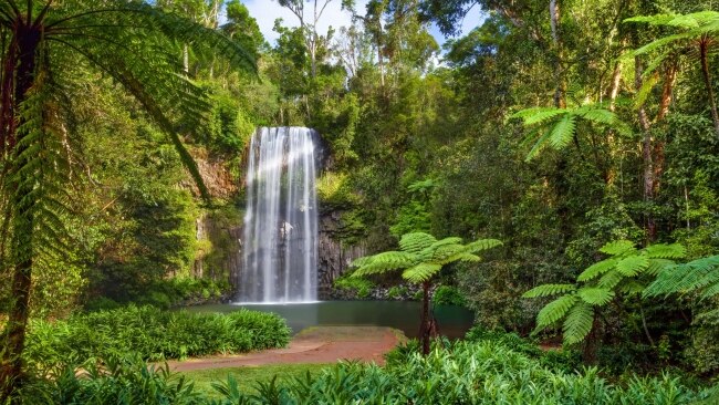 Why Cairns is worth visiting, even when it rains all week | escape.com.au