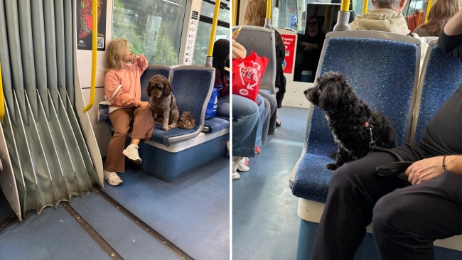 Image: Reddit.