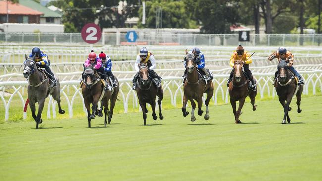 Horses put the new turf to the test during trials at Eagle Farm. Photo Lachie Millard