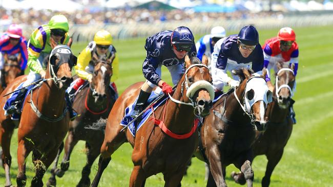 Zoustar is among a classy list of horses to win the Claret Stakes