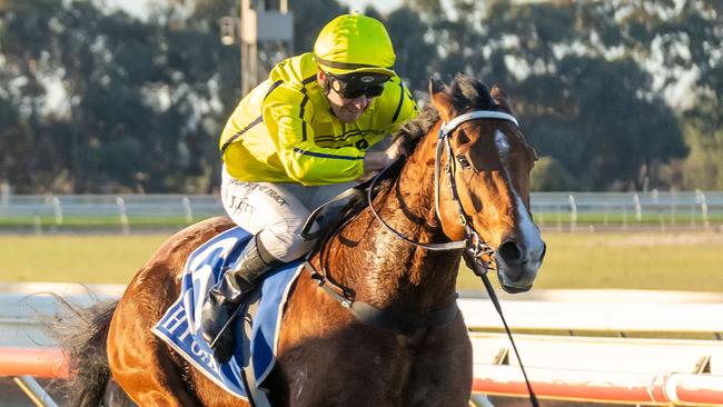 Samurai Star ridden by Jarrod Fry wins the Northern Hire Group Handicap at Echuca Racecourse on August 11, 2024 in Echuca, Australia. (Photo by Jay Town/Racing Photos)