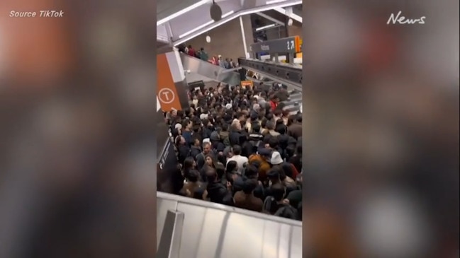 Video reveals chaotic scenes at Vivid