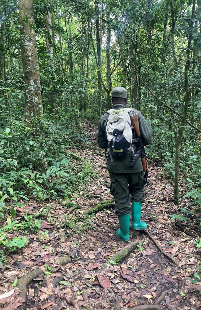 Chimp guide Alex leading a trek through Kibale National Park. Picture: News.com.au