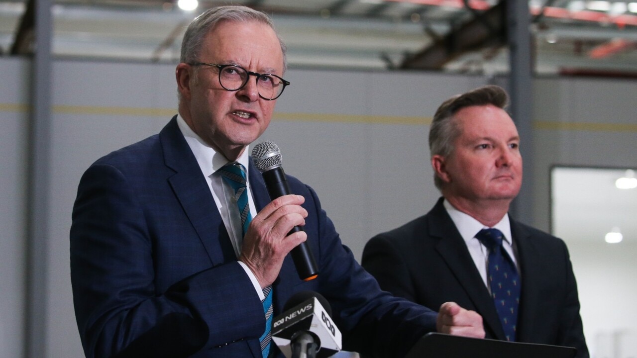 ‘Costing an absolute fortune’: Labor on a ‘rampant renewables-only scheme’