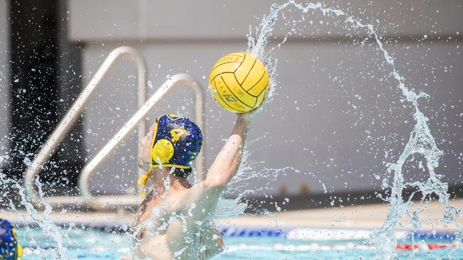 Ivan Bebic playing in the last Australian Water Polo League.