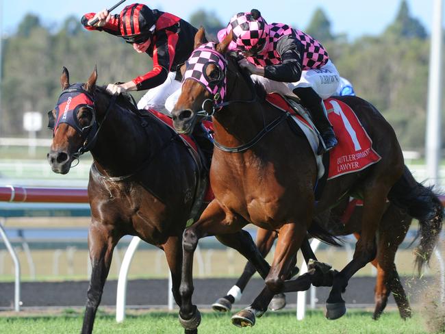 Hopfgarten finishes strongly to win the Ascot Handicap at the Sunshine Coast. Picture: Grant Peters, Trackside Photography