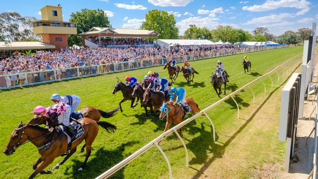 The 2019 Wodonga Gold Cup.