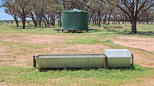 There are three capped bores supplying water to some 40 troughs and 20 tanks across the property.