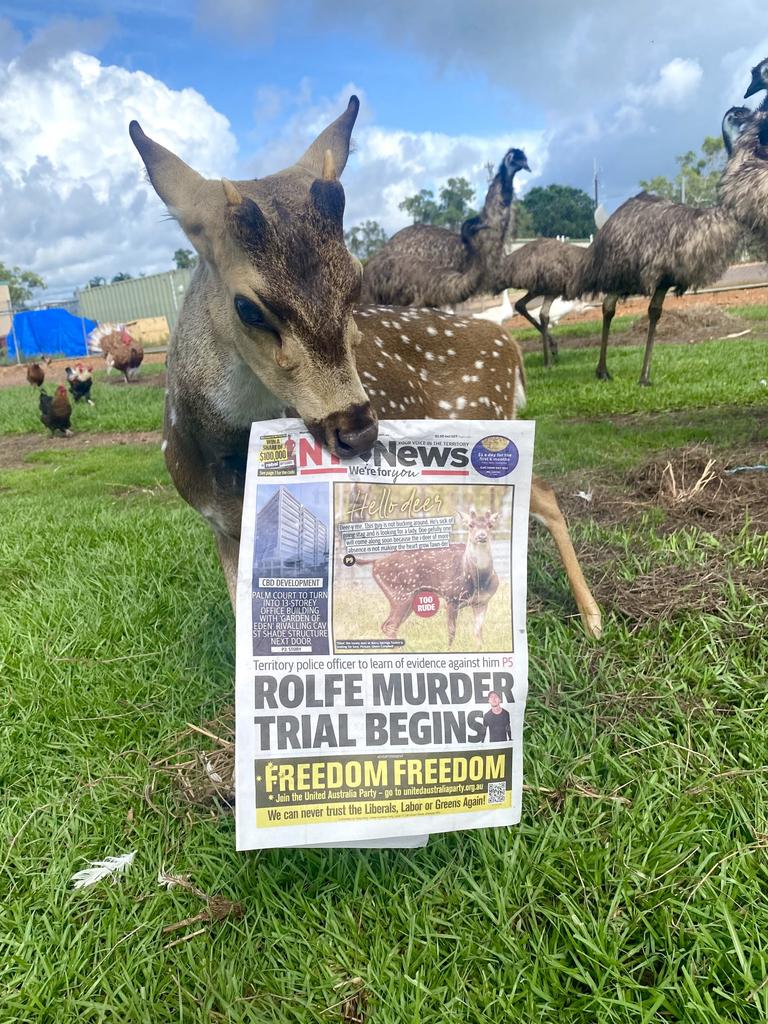 Elliot the deer and his front page. Picture: Supplied.