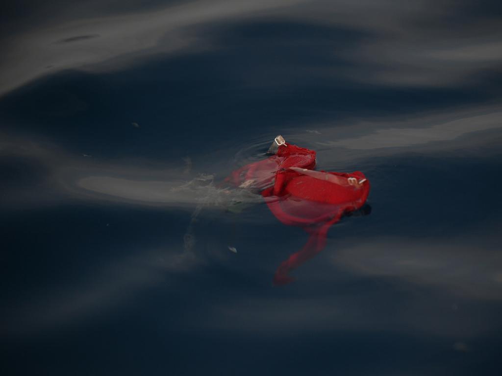 An undergarment believed to belong to a passenger on board the ill-fated Lion Air flight JT 610 floats at sea in the waters north of Karawang, West Java. Picture: AFP