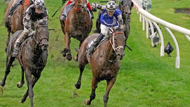 Mugatoo relished the wet conditions to win the All-Star Mile at The Valley in 2021. Picture: Racing Photos via Getty Images.