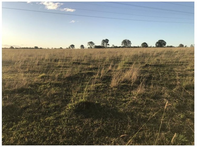 This land near Grafton could soon be home to a massive solar panel farm.