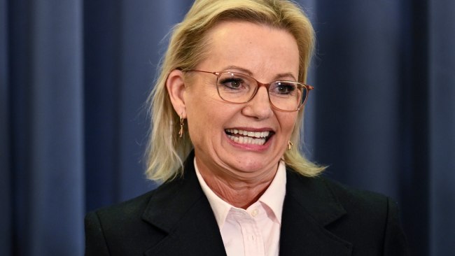 Sussan Ley is the first woman to lead the federal Liberal Party and the most senior female in the party's 80-year existence. Picture: NewsWire / Martin Ollman