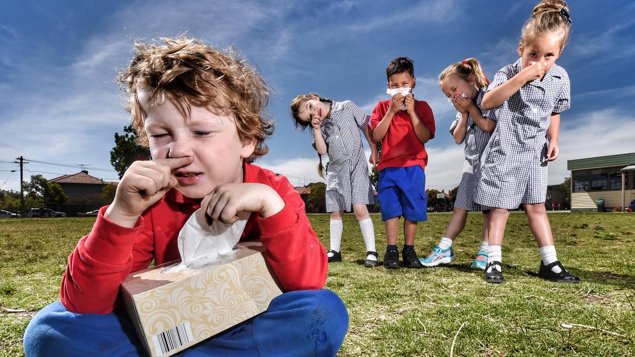 A five-year study has shed new light on pollen air travel and the causes of urban hayfever. Picture: Tony Gough