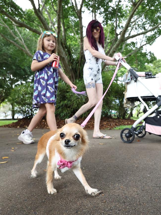 Soraya Collins, 6, and Lisa Iverson, pictured with chihuahua Crystal, all participated in the RSPCA's Million Paws Walk fundraiser, held along the Cairns Esplanade. Picture: Brendan Radke