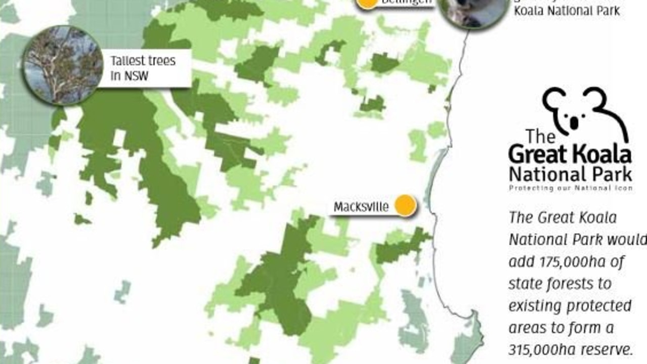 The Great Koala National Park proposal map from 2018 referred to combining state forest with existing national parks.