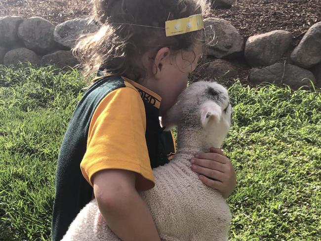 A Redcliffe mum is scared to let her children walk outside their house after they woke to find their one-week-old baby lamb grotesquely ripped apart. Source: Facebook