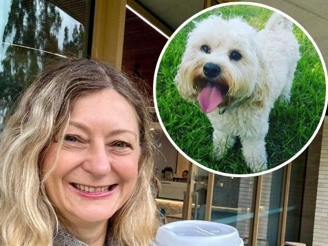 Bayside Labor councillor Jo Jansyn has flagged the idea of a pet friendly event. Picture: Supplied