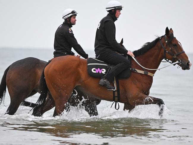 ALTONA NORTH, AUSTRALIA - OCTOBER 23: Via Sistina (r) and Atishu are seen during a beach session at Altona Beach on October 23, 2024 in Altona North, Australia. (Photo by Vince Caligiuri/Getty Images)