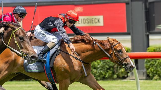 Neindorf urges Nosie By Nature to victory at Morphettville. Picture: Makoto Kaneko