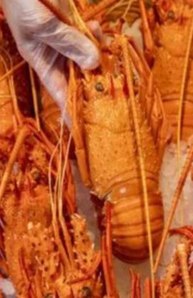 Woolworths has slashed the price of lobster. Picture: Supplied