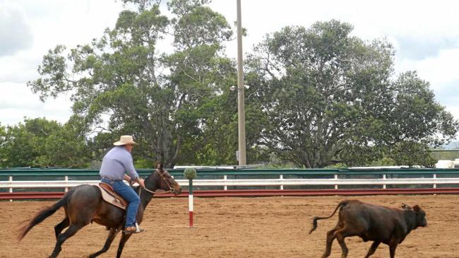 Brian Elliott on Kellypark Footloose at the campdrafting. Picture: Jann Houley