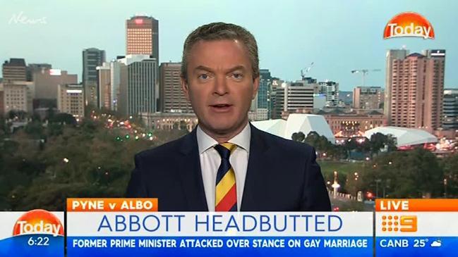 Pyne weighs in on Abbott assault