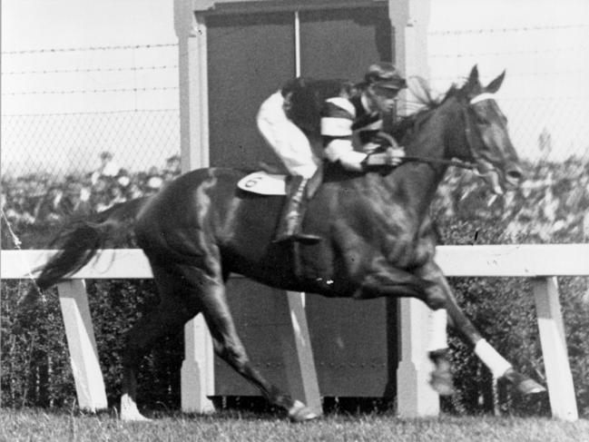 Phar Lap winning the 1930 Melbourne Cup. sport horseracing action