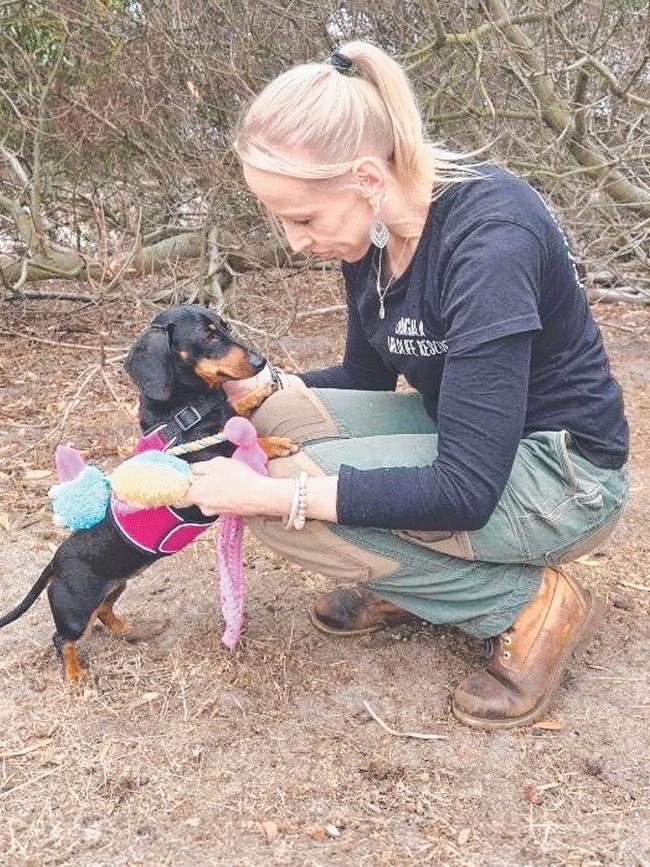 The now found dachshund, Valerie, with Kangala Wildlife rescuer Lisa Karran, after her capture. Picture: Kangala Wildlife Rescue