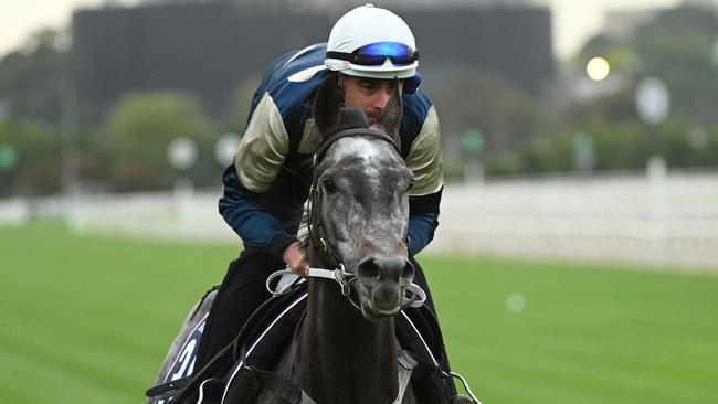 The Chris Waller-trained Valiant King gallops at Flemington last week. Picture: Vince Caligiuri / Getty Images