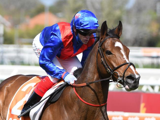 MELBOURNE, AUSTRALIA - OCTOBER 09: Craig Williams riding Zaaki to the start of race 6, the Neds Might And Power, during Melbourne Racing at Caulfield Racecourse on October 09, 2021 in Melbourne, Australia. (Photo by Vince Caligiuri/Getty Images)