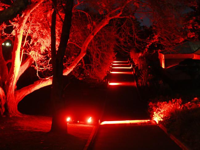 The Botanical Gardens lit up in red for Dark Path. Picture: MATT THOMPSON