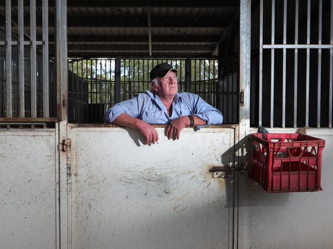 Trainer Bruce Hill at stables where Winx once stayed during a racing carnival early in her career. Picture Glenn Hampson